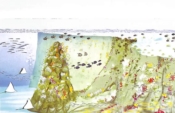 I granchi fossili del territorio di Monte di Malo image