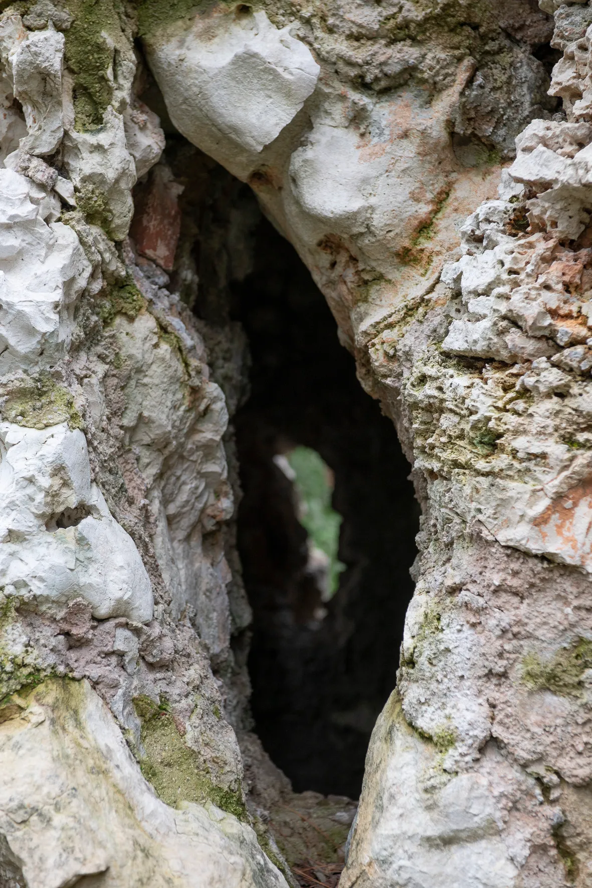 Il restauro del Parco di Villa Rossi image