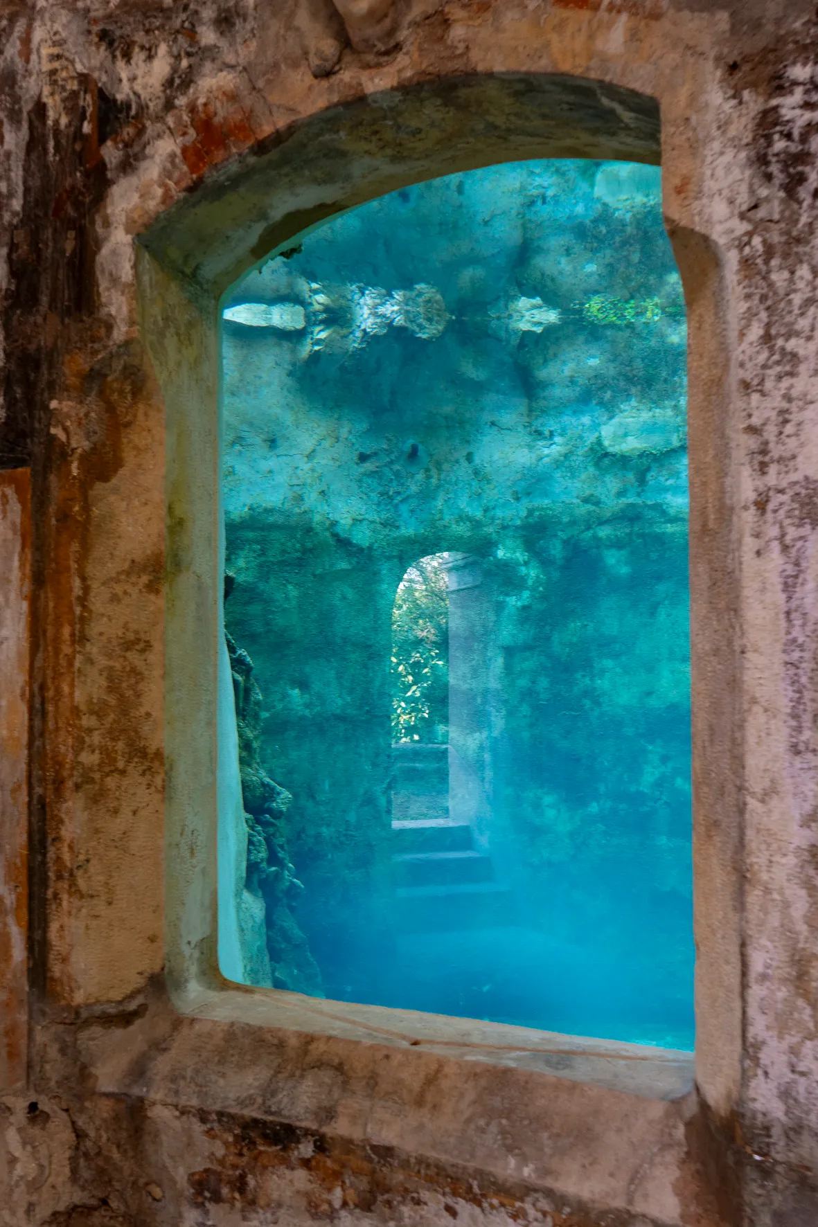 Il restauro del Parco di Villa Rossi image